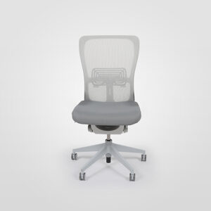 Zody Ergonomic Task Chair (No Arms)