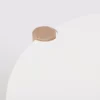 Wooden knob on a curved white surface.