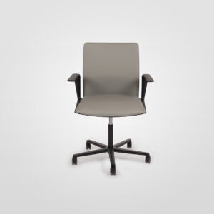 Kinesit Low Back Chair