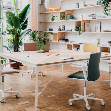 Kinesit Low Back Chair | Designer Office Chairs