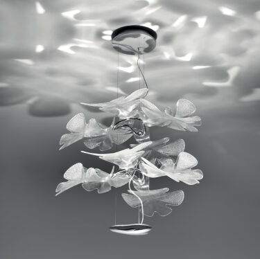 Chlorophilia | Designer 