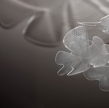 Chlorophilia | Designer 