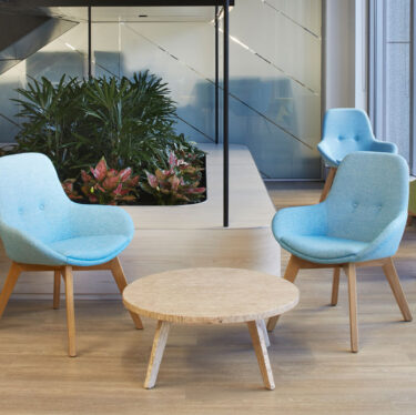 Ivy Low Lounge Chair | Designer Lounge Chairs