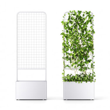 Botanical Self Watering Planter | Designer Planters