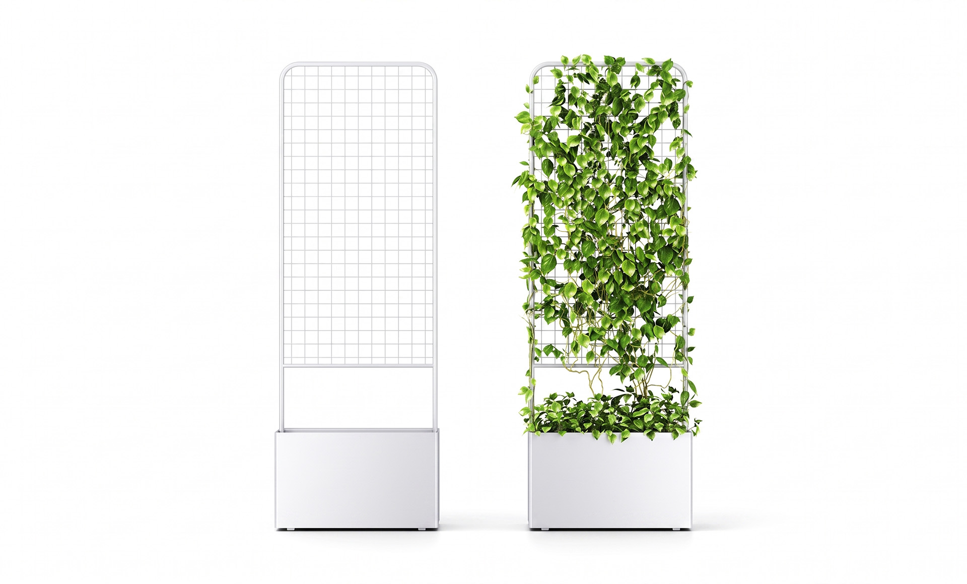 Botanical Self Watering Planter