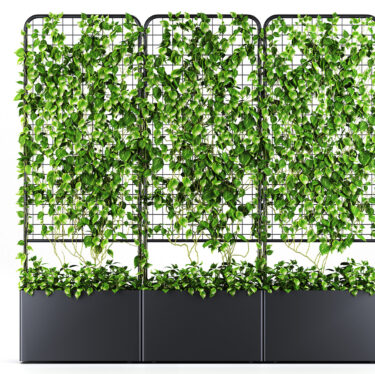 Botanical Self Watering Planter | Designer Planters