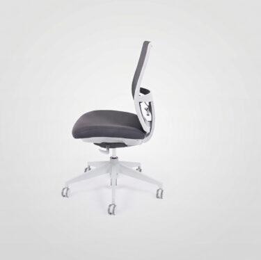 Aloha Ergonomic Task Chair (No-Arms) | Designer Office Chairs